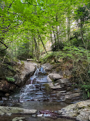 Waterfall and stream inside of the forest. Arezzo region in Tuscany, Italy. Summer in Italy.