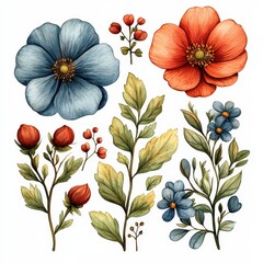 Watercolor Floral Elements Collection Blue and Orange Flowers and Green Leaves.