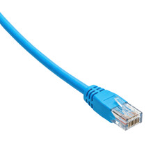 Blue ethernet cable with RJ45 connector isolated PNG with Transparent Background