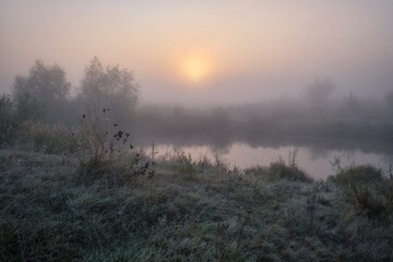 Foggy dawn on the field behind the lake.