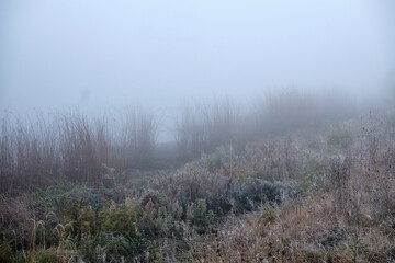 Foggy dawn on the field behind the lake.