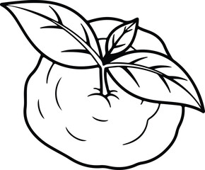 Vector Citrus fruit orange with leaves silhouette Illustrator