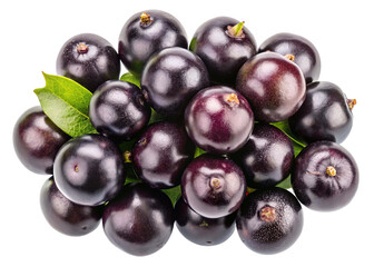 Fototapeta premium A vibrant cluster of fresh ripe jabuticaba berries with green leaves isolated on transparent background