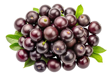 Fototapeta premium A plump cluster of freshly harvested dark purple acai berries with green leaves isolated on transparent background