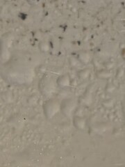 footprints on the sand