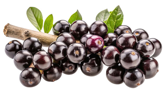 A cluster of dark purple jamun fruits with green leaves and a small branch isolated on transparent background