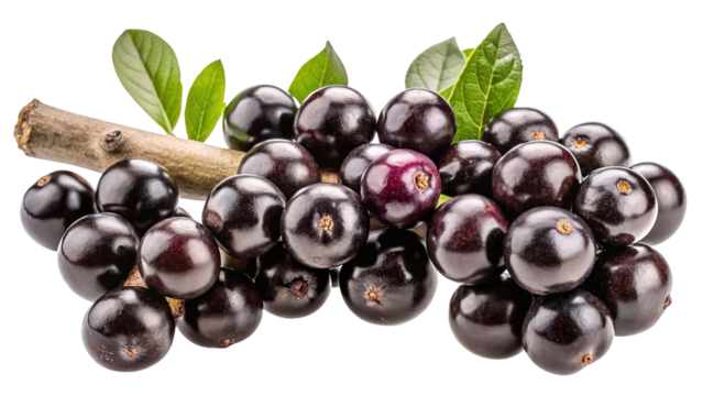 A cluster of dark purple jamun fruits with green leaves and a small branch isolated on transparent background