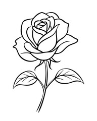 flower tattoo sketch examples,  flower icon, Minimalist Rose Line Art Illustration