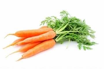 Carrots bunch with green leaves Fresh harvest vegetables Vitamins health on transparent background