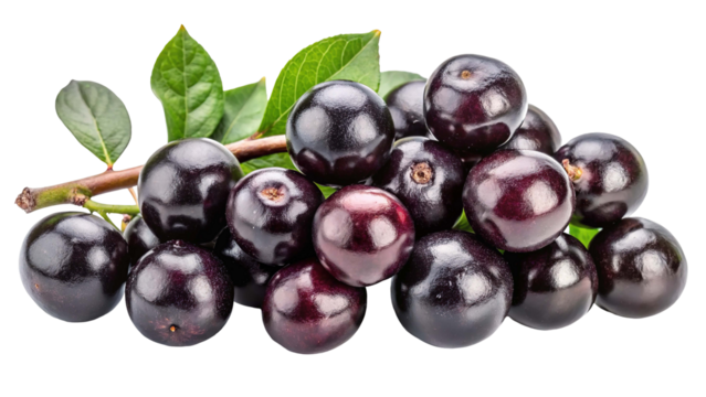 A cluster of ripe dark purple grapes with green leaves isolated on transparent background