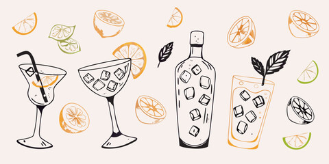 Hand drawn illustration of refreshing summer cocktails with citrus fruits and ice cubes