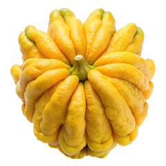 A bright yellow buddha s hand citron fruit with segmented fingers isolated on transparent background