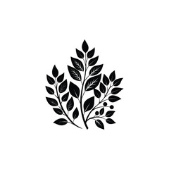 Fototapeta premium An elegant black silhouette of tree branches with leaves and berries representing nature and growth