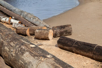 driftwood logs sawn into firewood on the shore
