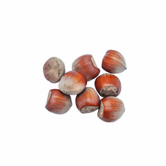 Macro of hazel nuts isolated on white background