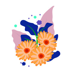 Delicate Orange Gerbera Daisies with Blue and Purple Accents on a White Background