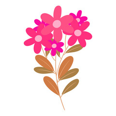 Beautiful vibrant pink flower bouquet with brown leaves on a white background, delicate floral arrangement