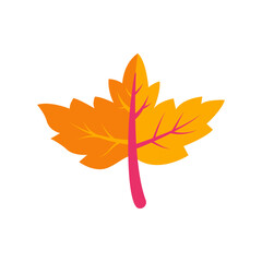 Fototapeta premium Vibrant Autumn Leaf Icon with Gradient Colors symbolizing Fall Season and Nature's Beauty