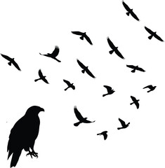 Bird Silhouette Flying and Sitting Vector Design .