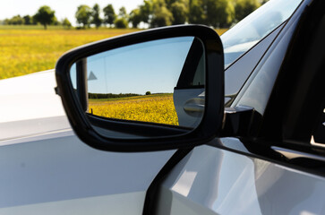 View of Buttercup Field in a car's side mirror