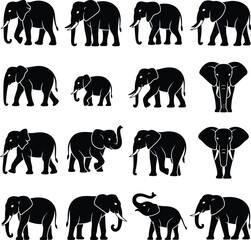 Elephant Silhouette Vector set  Wildlife Safari Animal Graphic EPS Illustration .