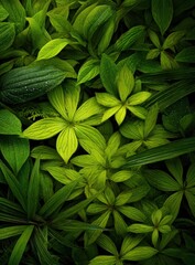 A vibrant tapestry of lush green leaves, showcasing intricate patterns and textures.