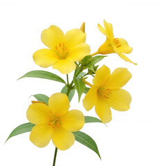 White envelope at symbol isolated on a transparent background