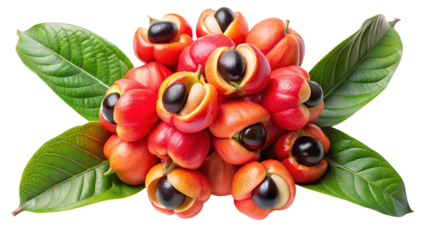 Vibrant cluster of ripe guaran fruits with green leaves isolated on transparent background