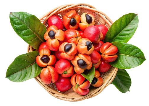 A wicker basket filled with vibrant red ackee fruits and fresh green leaves isolated on transparent background