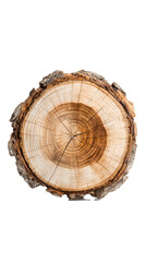 Obraz premium A high-quality tree stump cutout isolated on a white background with natural bark texture and growth rings. Ideally prepared for commercial use: absolutely no shadows or reflections, no floor contact,