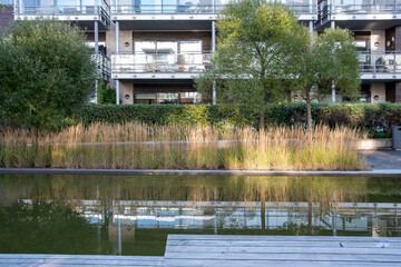 Urban pond with aquatic vegetation and modern residential buildings in Oslo Norway, clarity sustainable background for editorial branding and green city design