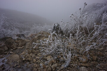 Snowy Mountains of Azerbaijan with Morning Fog