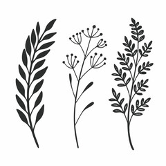 Set of Botanical Line Art Illustrations Leaves Branches and Flowers