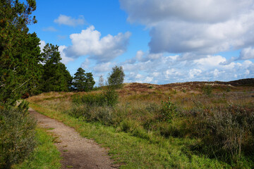 Wanderweg auf der Insel Römö in Dänemark mit Blick auf die wundervolle Landschaft 
