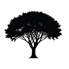Silhouette of a Tree with Dense Canopy on a White Background