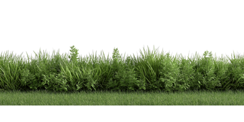 Green grass border with varied foliage isolated on a transparent background