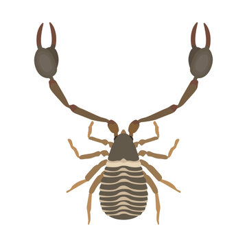 Book scorpion - hand drawn vector illustration.
