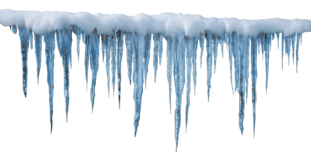 Icicles hanging from snowy branch isolated on a transparent background