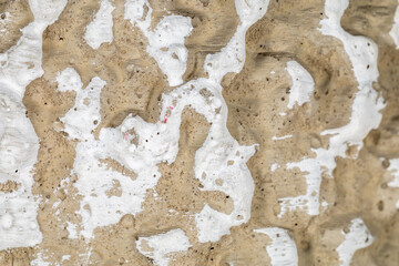 Abstract close-up of white paint splattered on a textured stone surface