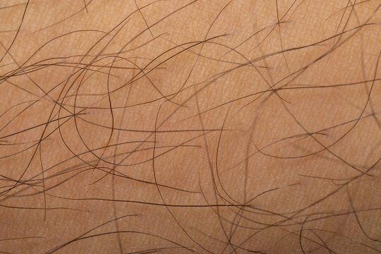 Detailed close-up of human skin and hair follicles, representing health and body care