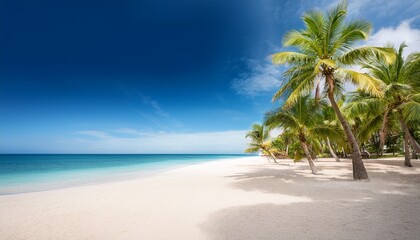 Obraz premium Palms On Empty Idyllic Tropical Sand Beach