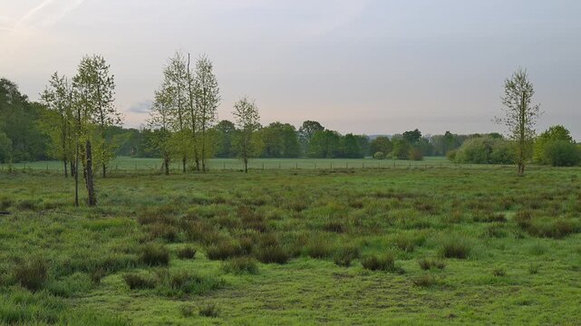Landschaft, Morgen, Fr&uuml;hling, Erlensee, Hanau, Hessen, Deutschland, Europa