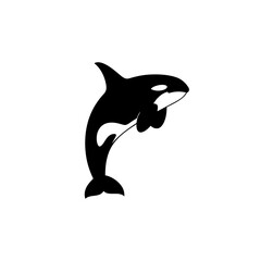 Obraz premium Dynamic Killer Whale Silhouette Leaping, Black and White Orca Vector Illustration of a Powerful Marine Predator