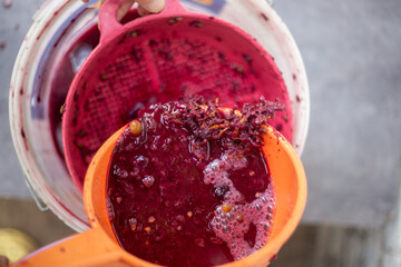 Crushed grapes are pressed through a sieve to obtain juice or wine