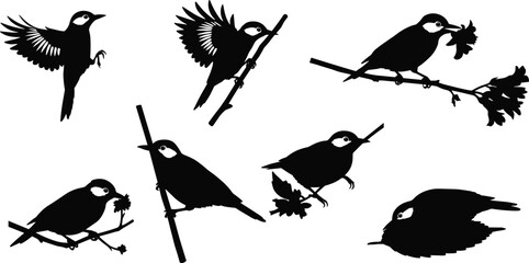 Vector illustration of bird silhouettes flying, perched, and feeding on branches with flowers, black isolated wildlife shadow design collection set.