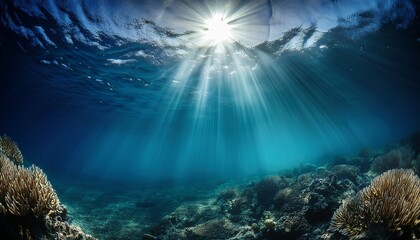 Fototapeta premium Underwater Sunbeams Filtering Through The Ocean Depths