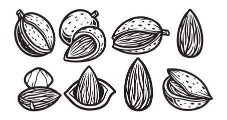 Almond (fruit & seed) Fruits Line Art Natural Organic Outline Design