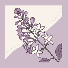 Flowers and Leaves Design Elements