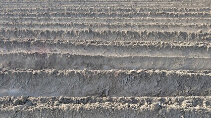 Freshly Plowed Farmland Soil Rows Prepared For Agricultural Cultivation And Seasonal Crop Plantation Fields