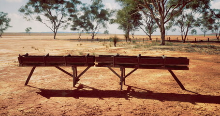 Fototapeta premium Two rustic wooden troughs are placed on parched earth surrounded by sparse trees in an Australian rural area, highlighting the harsh conditions of a sunny day.